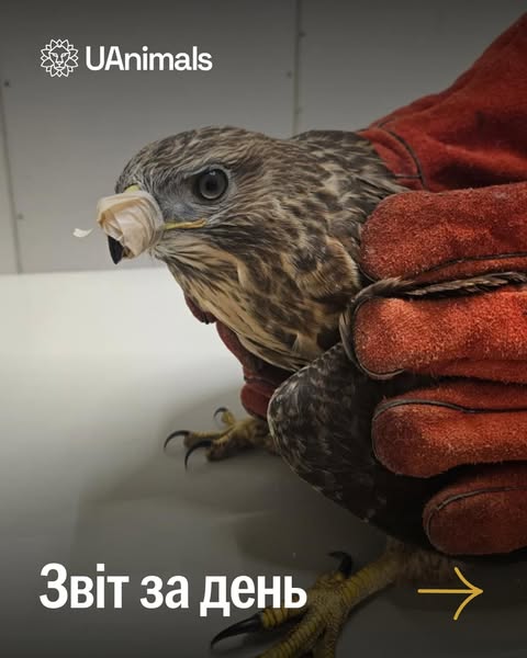 📌 1 284-й день повномасштабного вторгнення