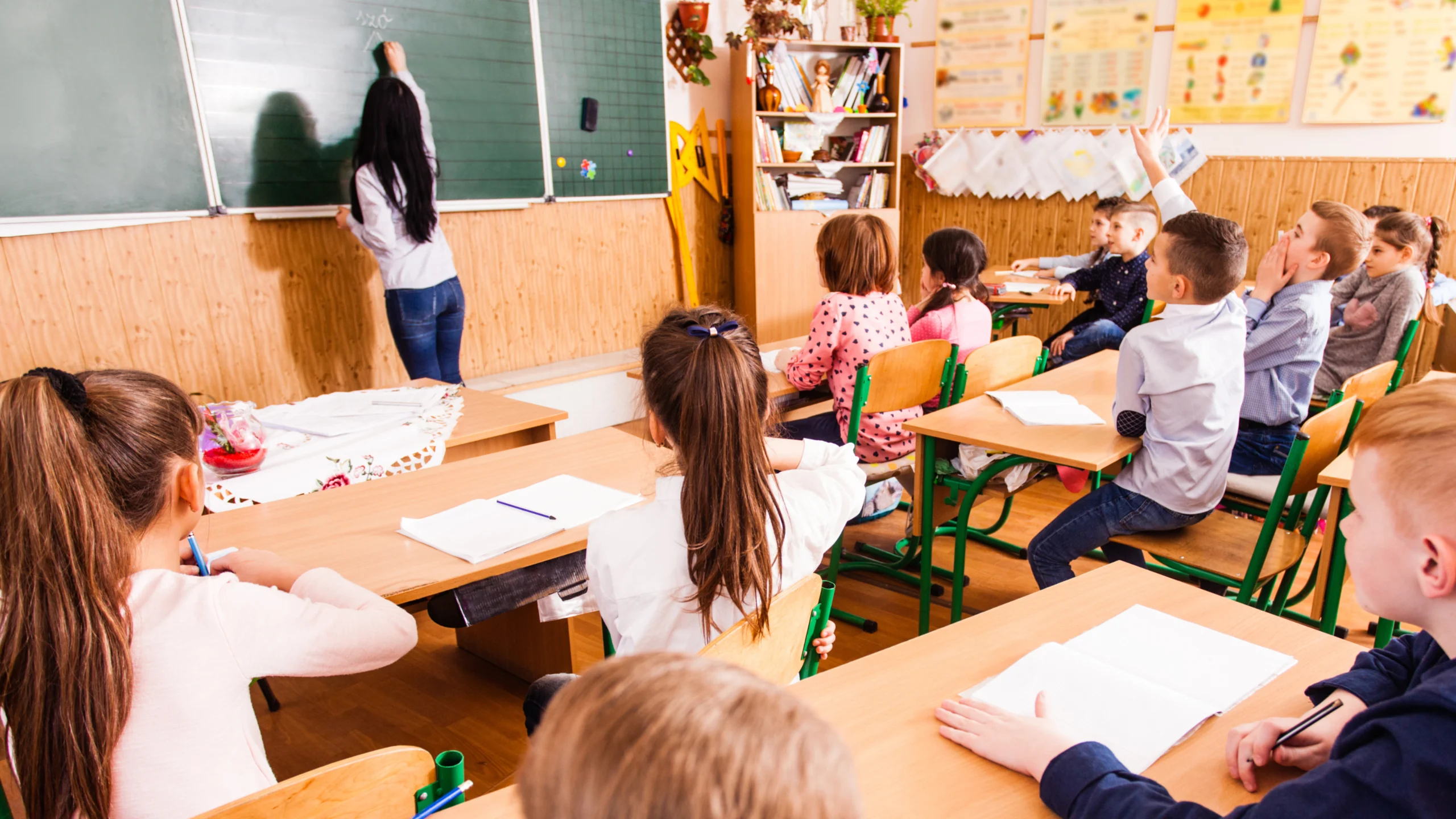 Гуманна освіта та волонтерство