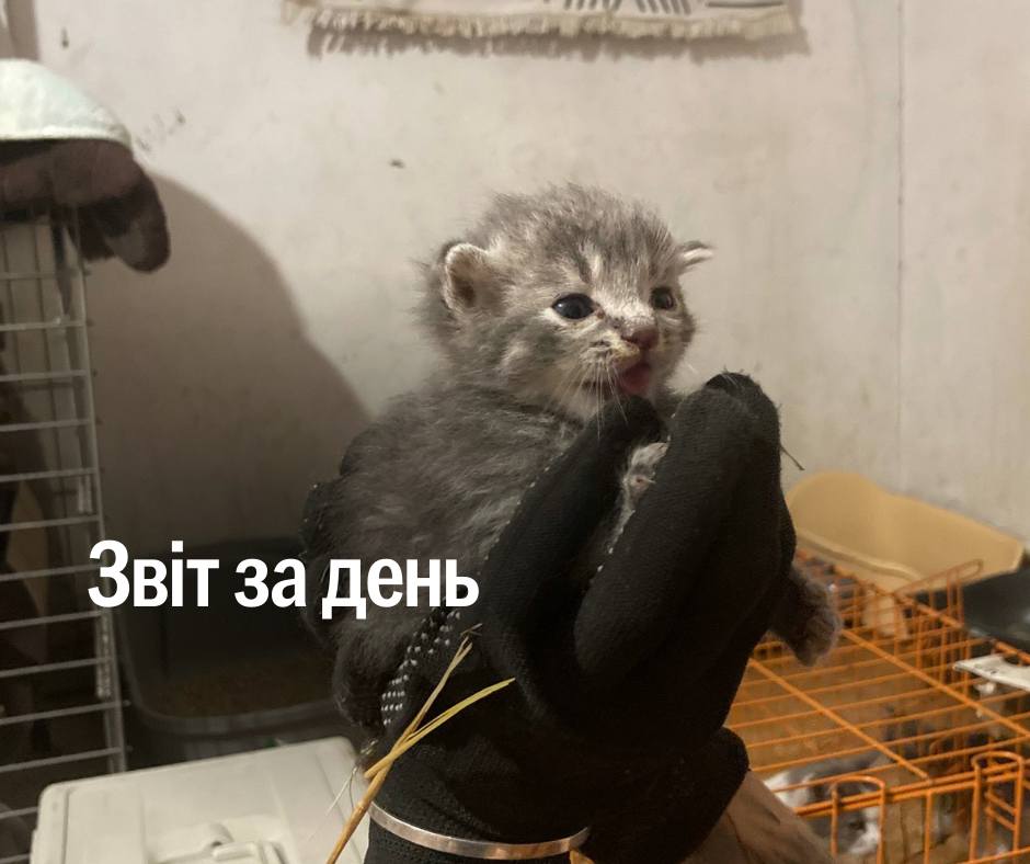 📌 1 286 день повномасштабного вторгнення