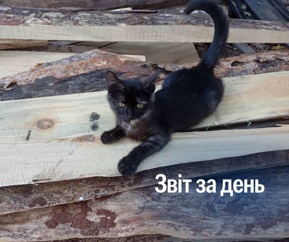 📌 1 290 день повномасштабного вторгнення