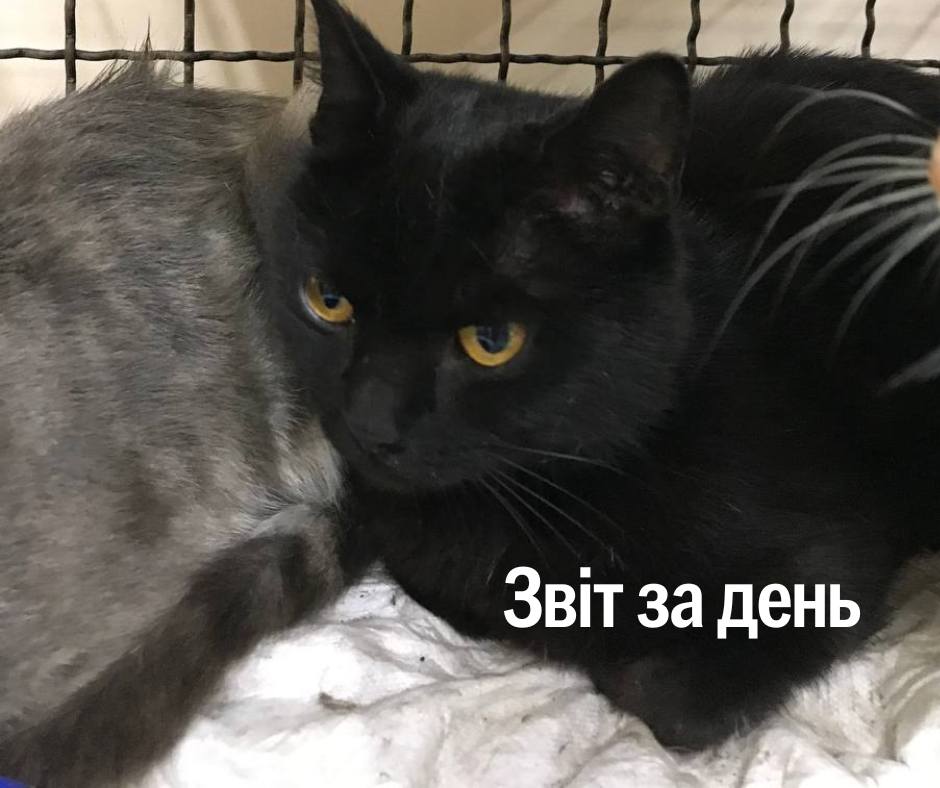 📌 1 289 день повномасштабного вторгнення