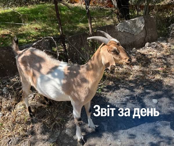 📌 1 294 день повномасштабного вторгнення