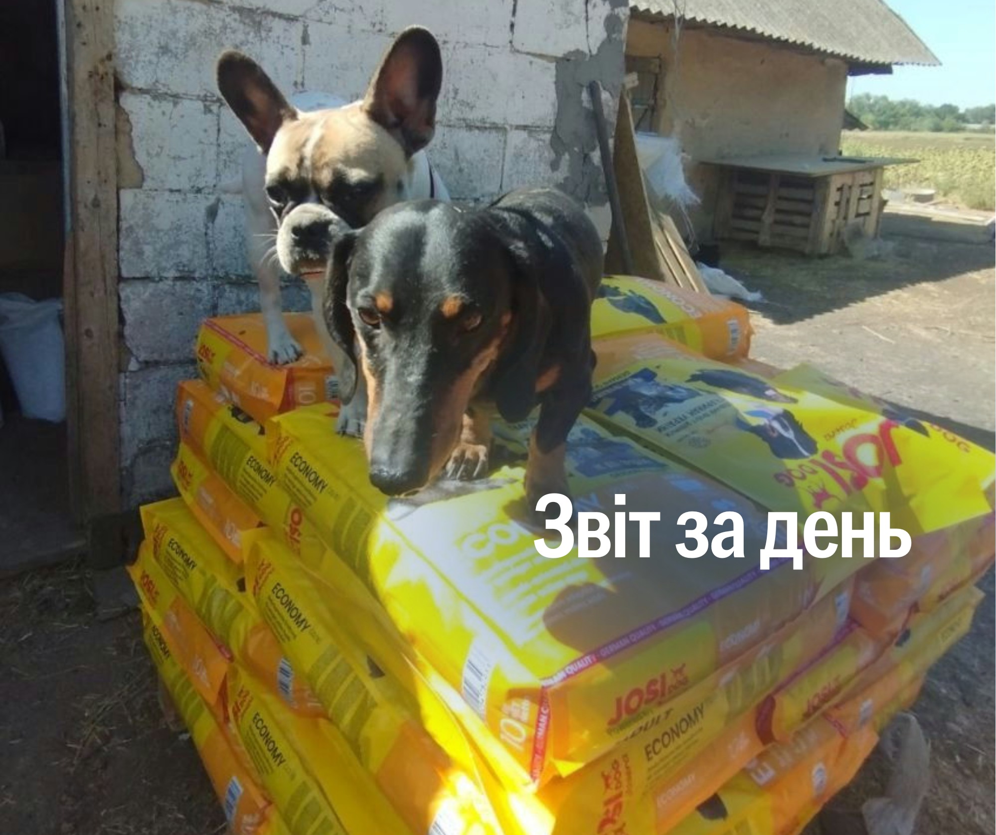 📌 1 291 день повномасштабного вторгнення