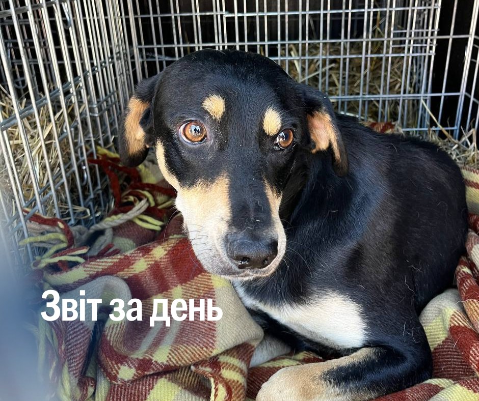 📌 1 296 день повномасштабного вторгнення