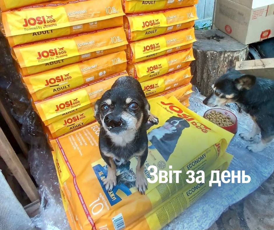 📌 1 293 день повномасштабного вторгнення