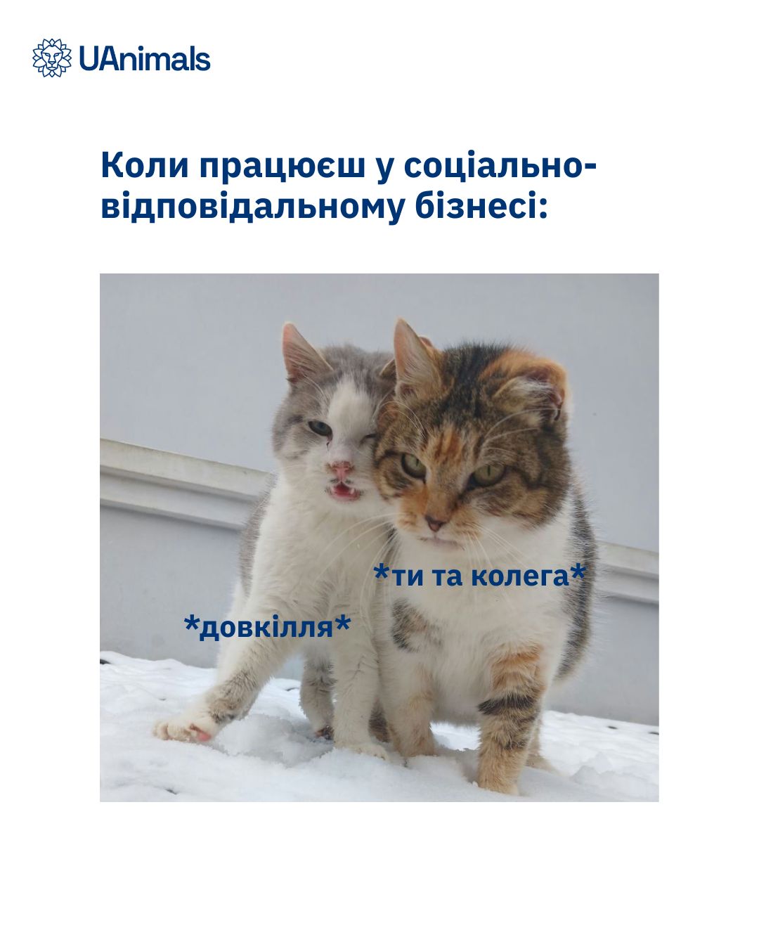 UAnimals закликає соціально-відповідальні бізнеси долучатися до Маршу прибирання! 🌱🫶