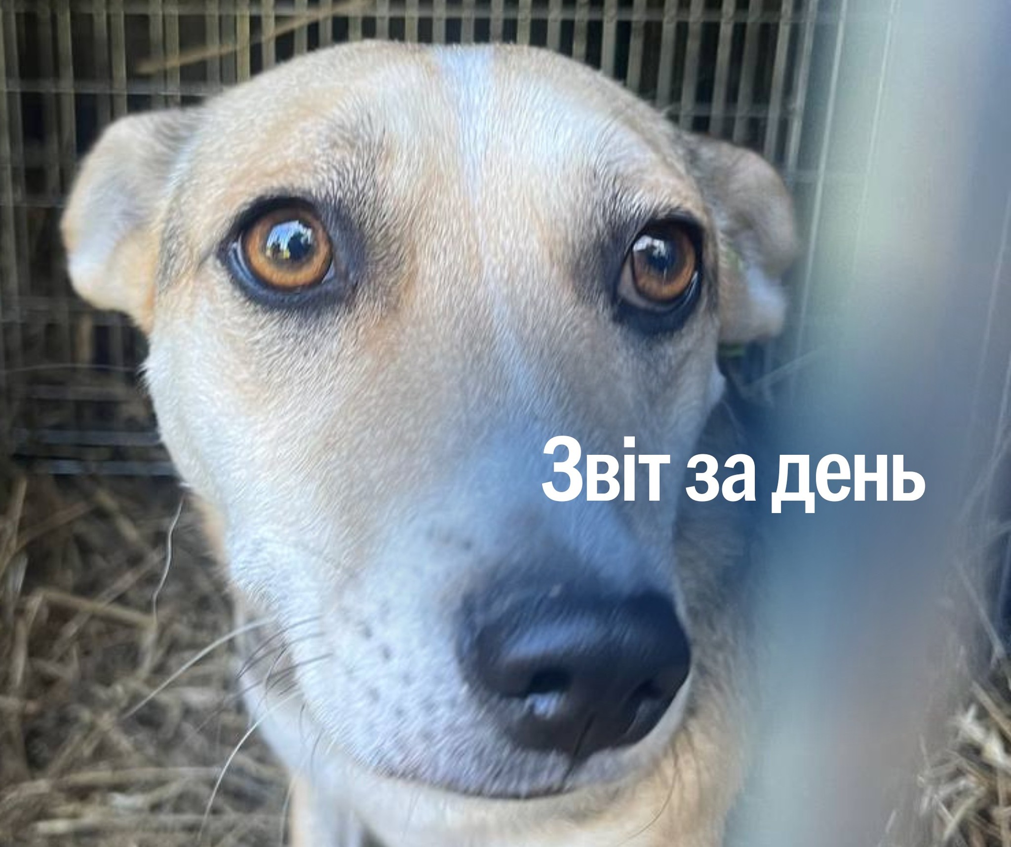 📌 1 298 день повномасштабного вторгнення