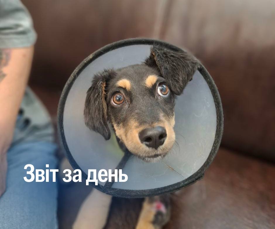 📌 1 301 день повномасштабного вторгнення