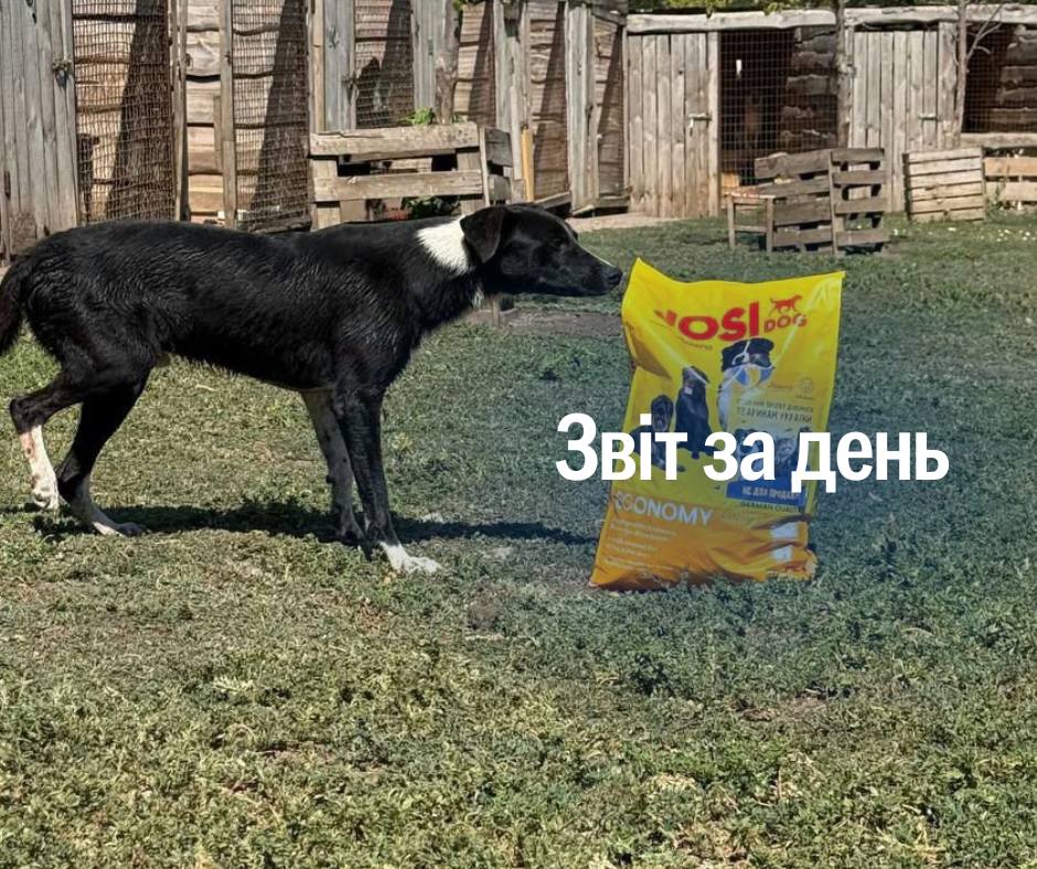1299 день повномасштабного вторгнення