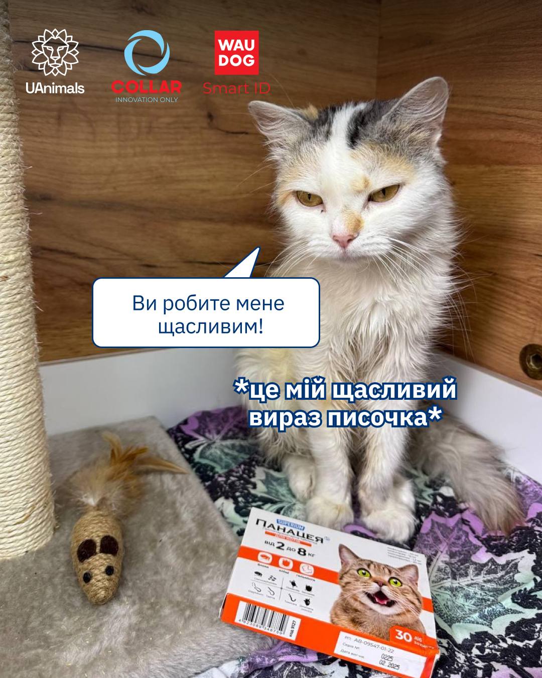 Спільними зусиллями із COLLAR Company  придбаємо ліки для тварин у притулку 🐾⭐️