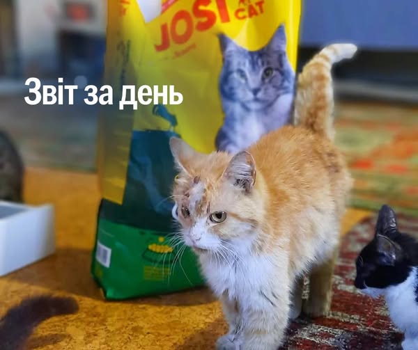 📌 1 306 день повномасштабного вторгнення