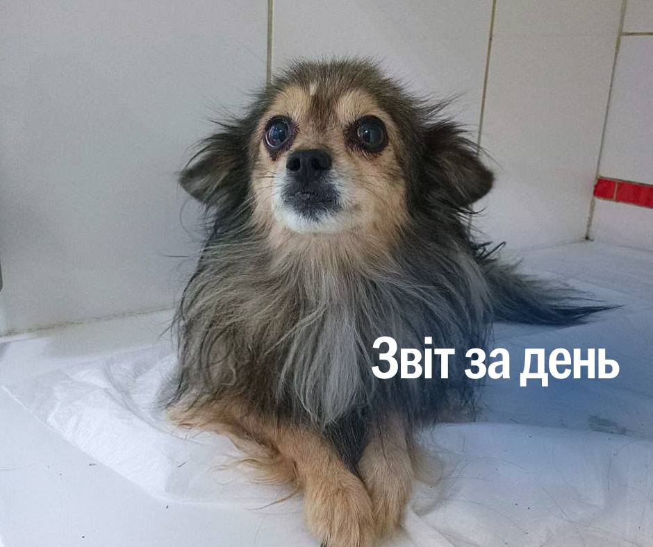 📌 1 304 день повномасштабного вторгнення