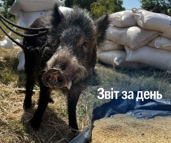 📌 1 307 день повномасштабного вторгнення