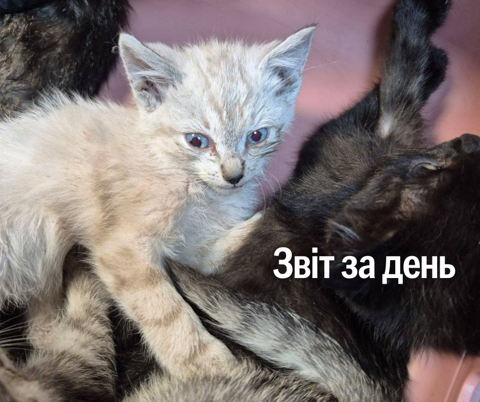 📌 1 308 день повномасштабного вторгнення