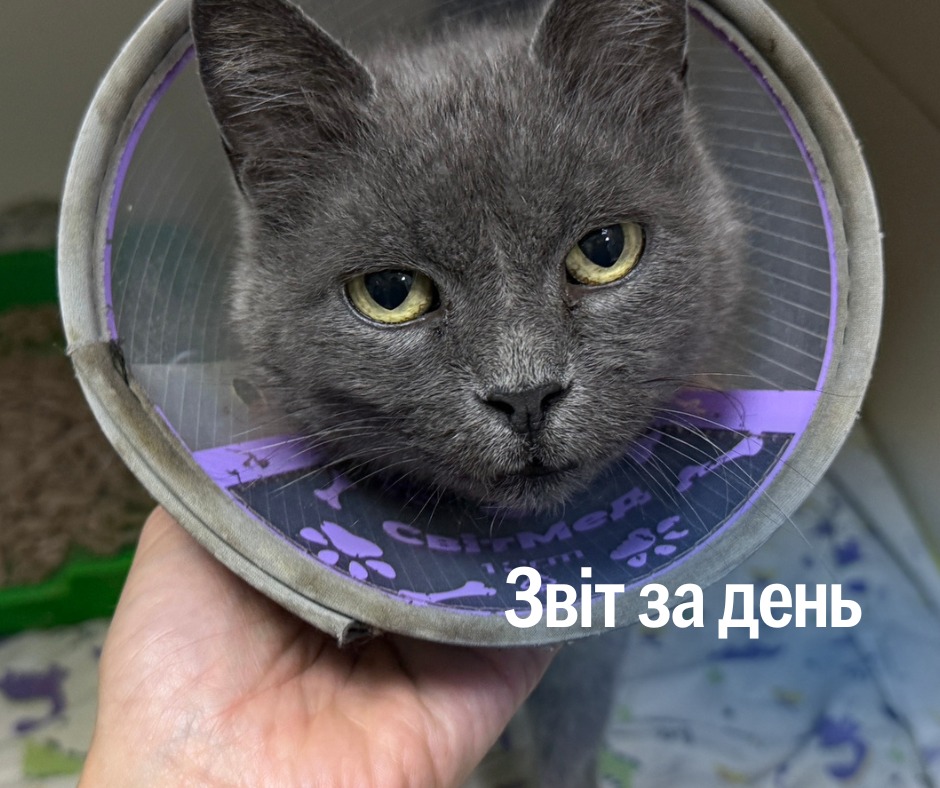 📌 1 309 день повномасштабного вторгнення