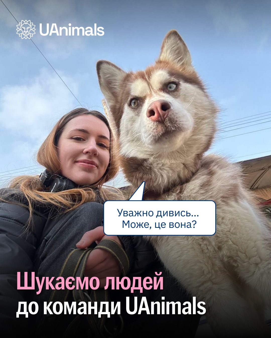 Шукаємо людей, що посилять команду UAnimals ❤️‍🔥