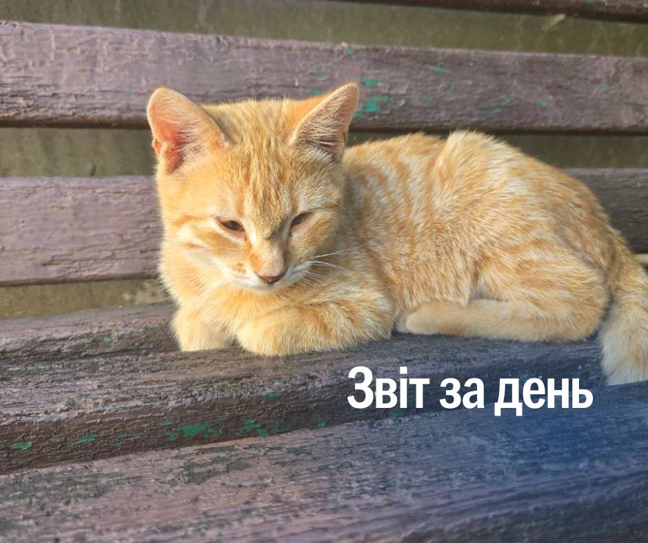 📌 1 310 день повномасштабного вторгнення