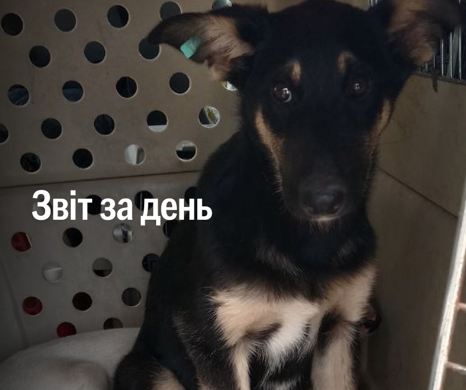 📌 1 312 день повномасштабного вторгнення
