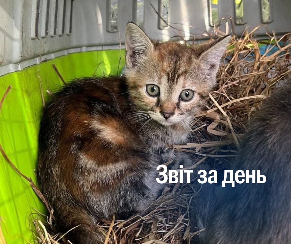 📌 1 314 день повномасштабного вторгнення