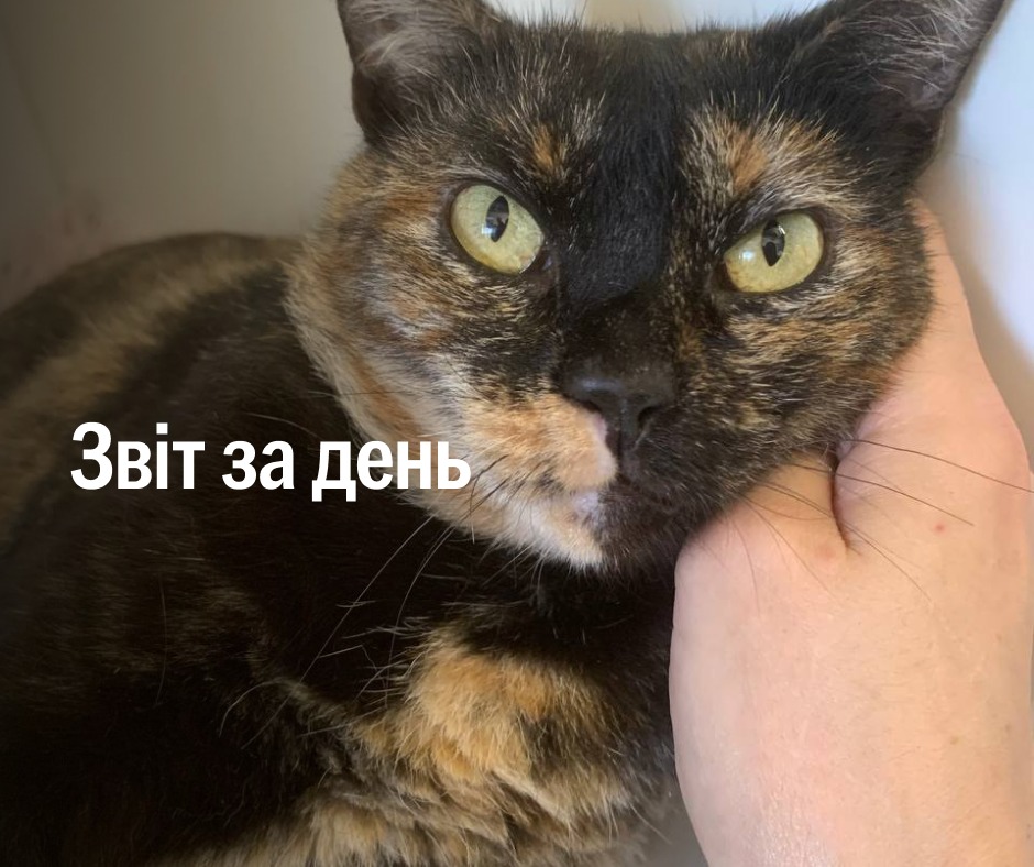 📌 1 313 день повномасштабного вторгнення
