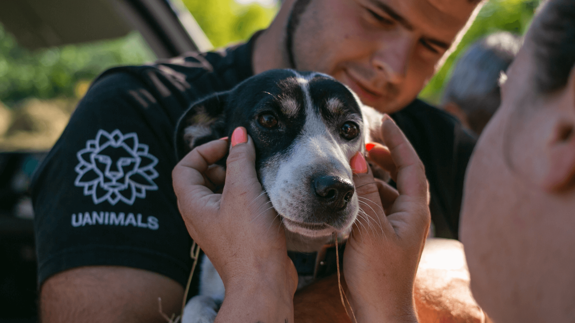 Всесвітній день тварин UAnimals