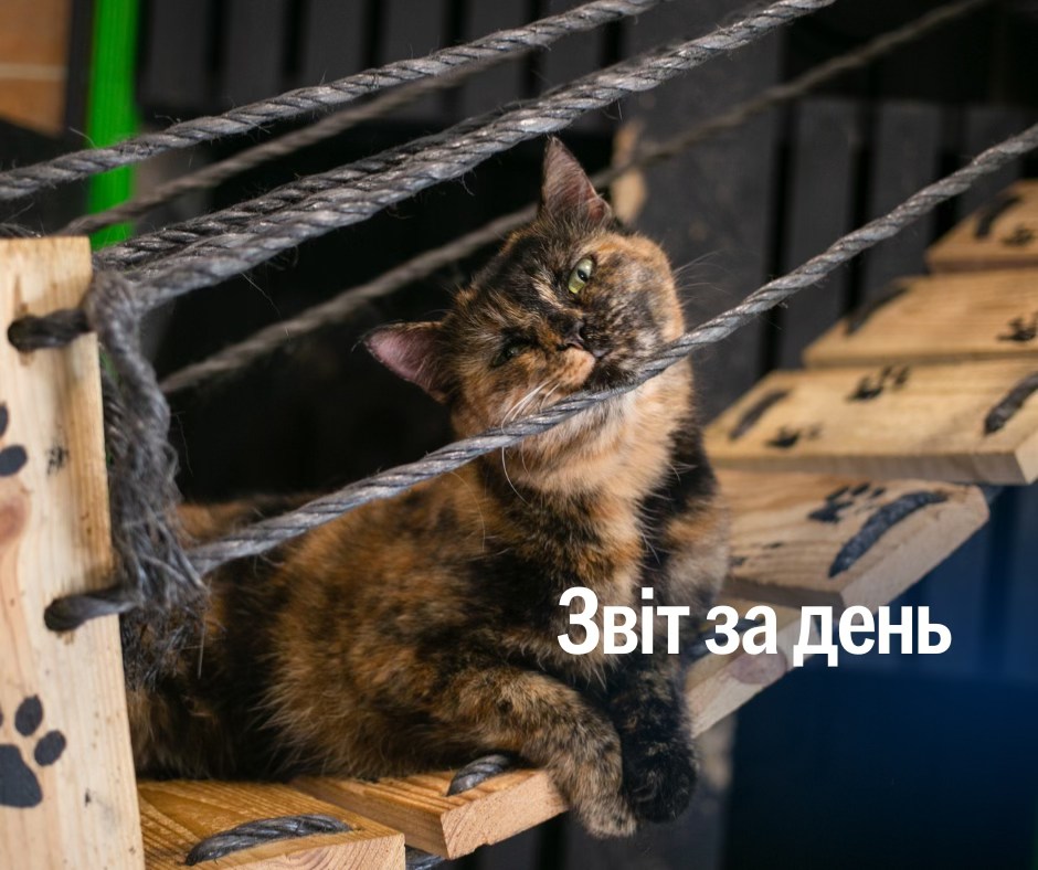 📌 1 315 день повномасштабного вторгнення