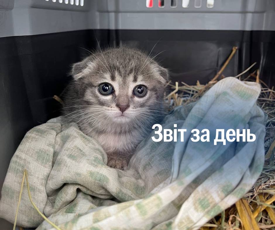 📌 1 321 день повномасштабного вторгнення