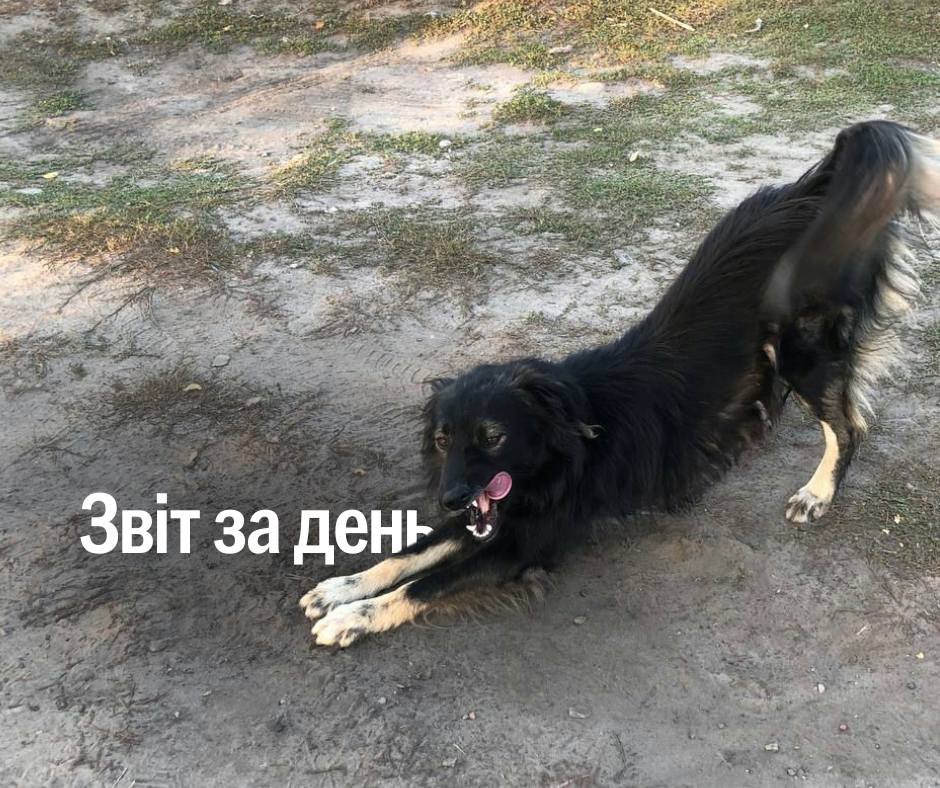 📌 1 317 день повномасштабного вторгнення