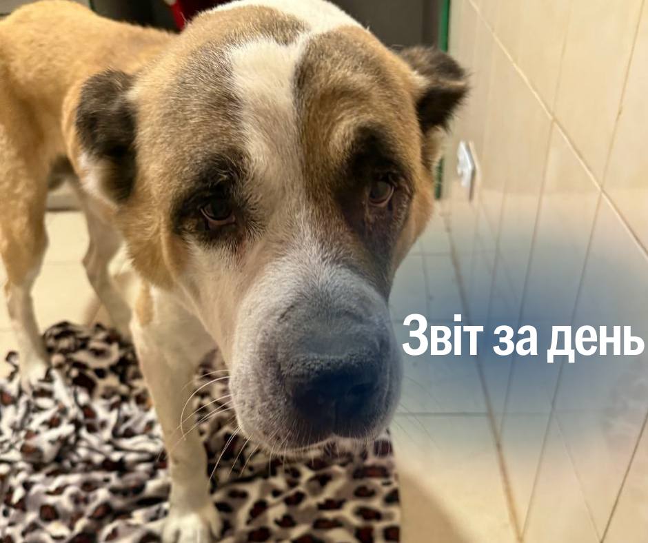📌 1 323 день повномасштабного вторгнення