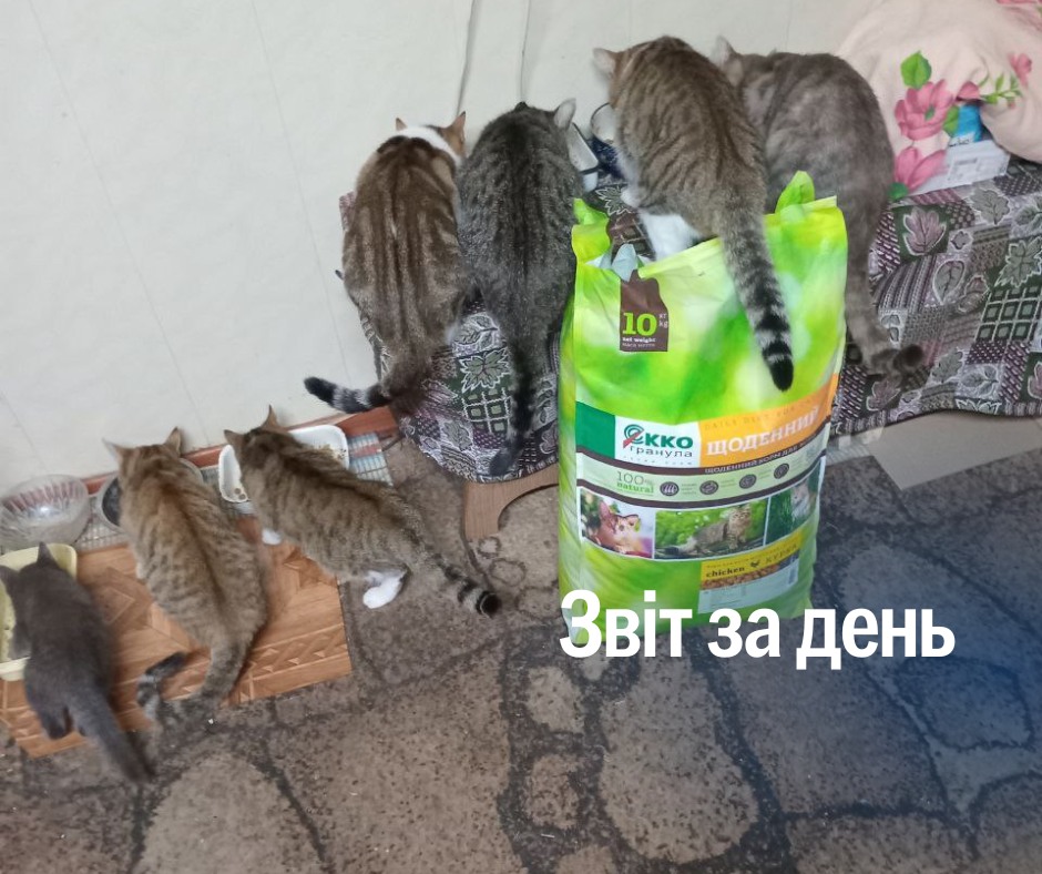 📌 1320 день повномасштабного вторгнення