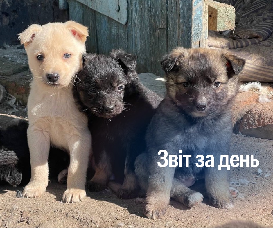 📌1 329 день повномасштабного вторгнення