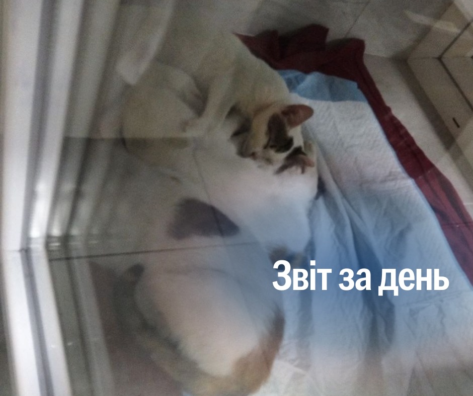 📌1 328 день повномасштабного вторгнення