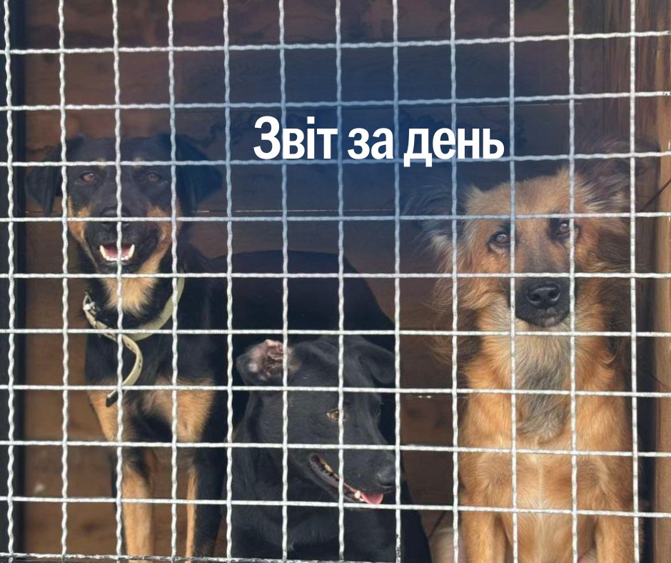 📌 1 325 день повномасштабного вторгнення