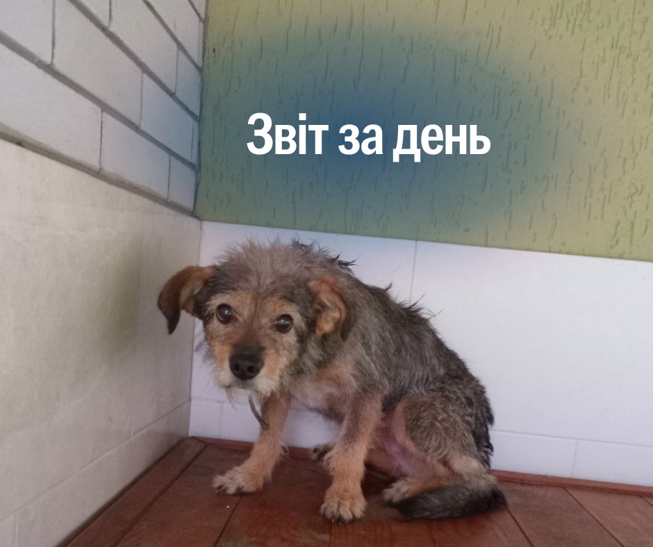 📌 1 327 день повномасштабного вторгнення