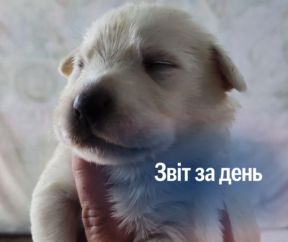 📌1 334 день повномасштабного вторгнення