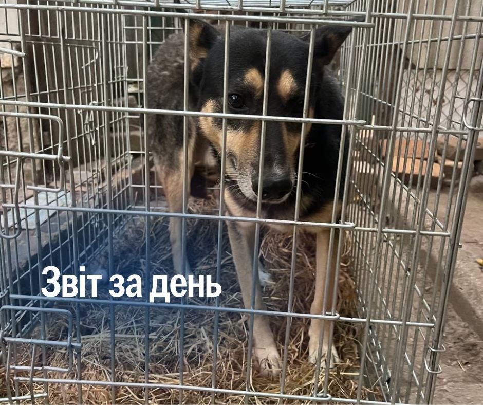📌1 331 день повномасштабного вторгнення