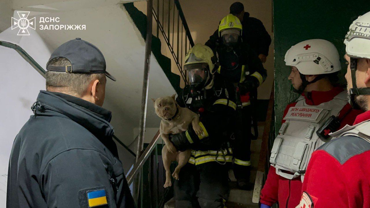 На фото — надзвичайники Запорізької області рятують собаку після масованого російського обстрілу 🙏