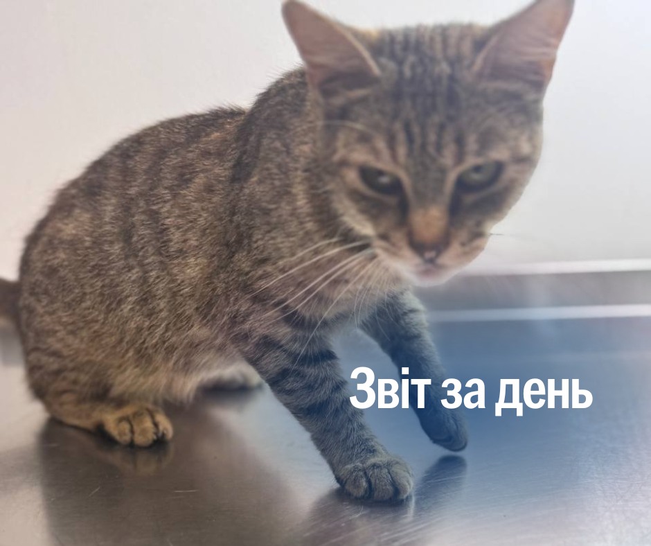 📌1 335 день повномасштабного вторгнення