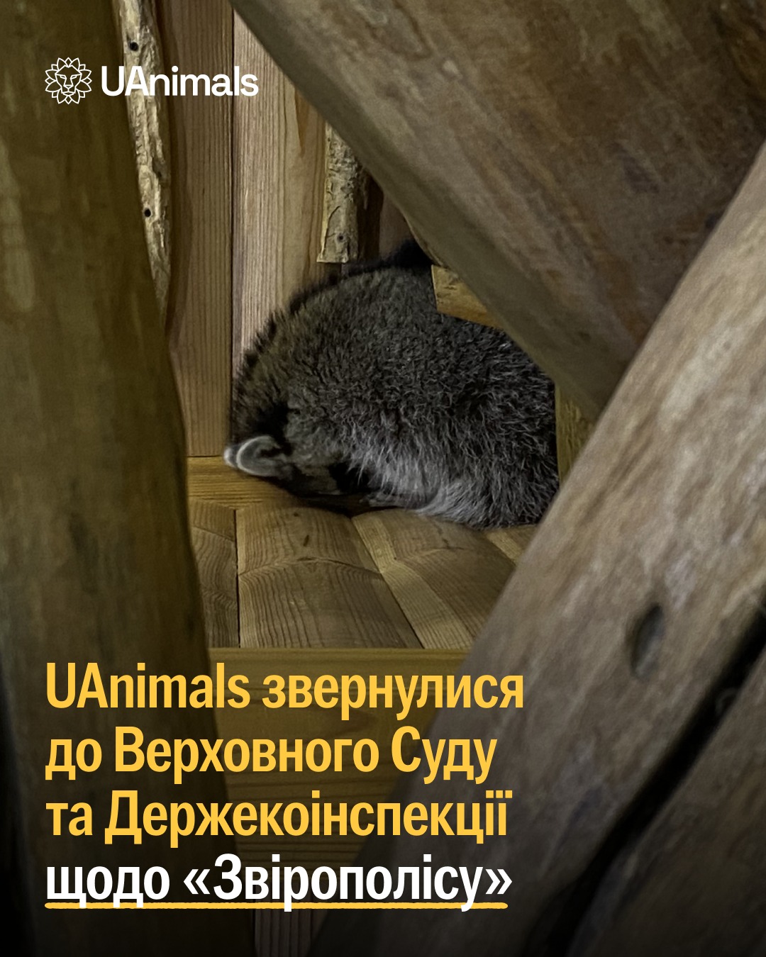 Закликаємо Верховний суд і Держекоінспекцію не ігнорувати жорстокість до тварин у контактних зоопарках «Звірополіс»