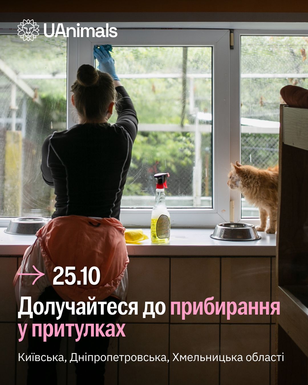 Запрошуємо цієї суботи разом поприбирати у притулках для тварин 🐾
