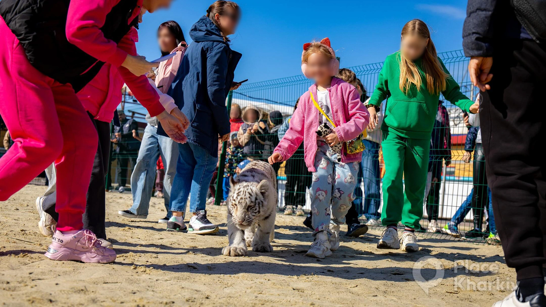 «Фельдман-Екопарк» експлуатує диких тварин для фотопослуг, попри заборону закону