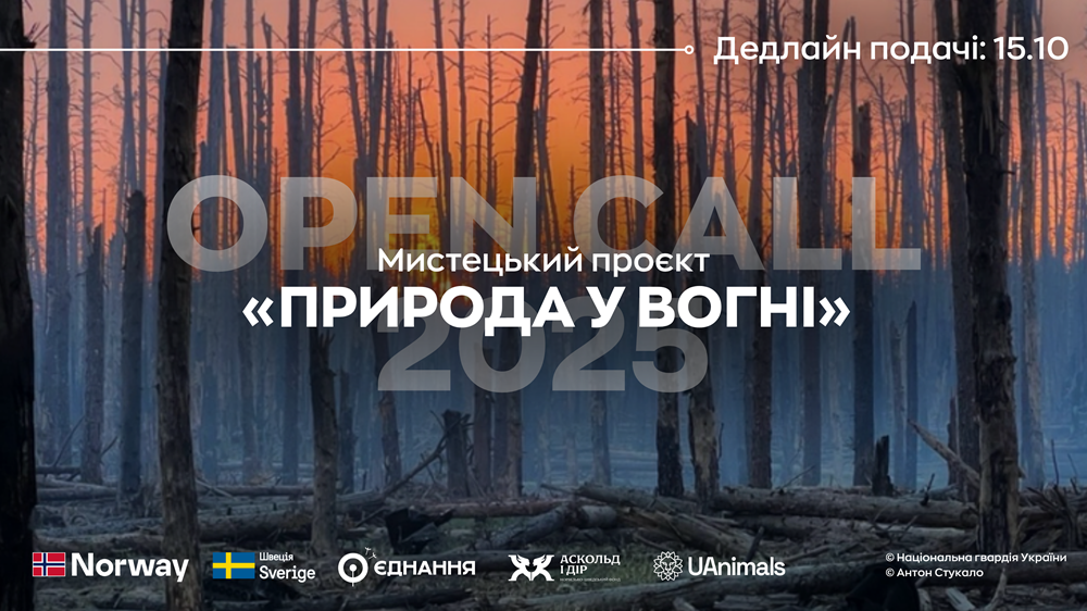 Open Call: Ялинки-інсталяції «Природа у вогні» UAnimals