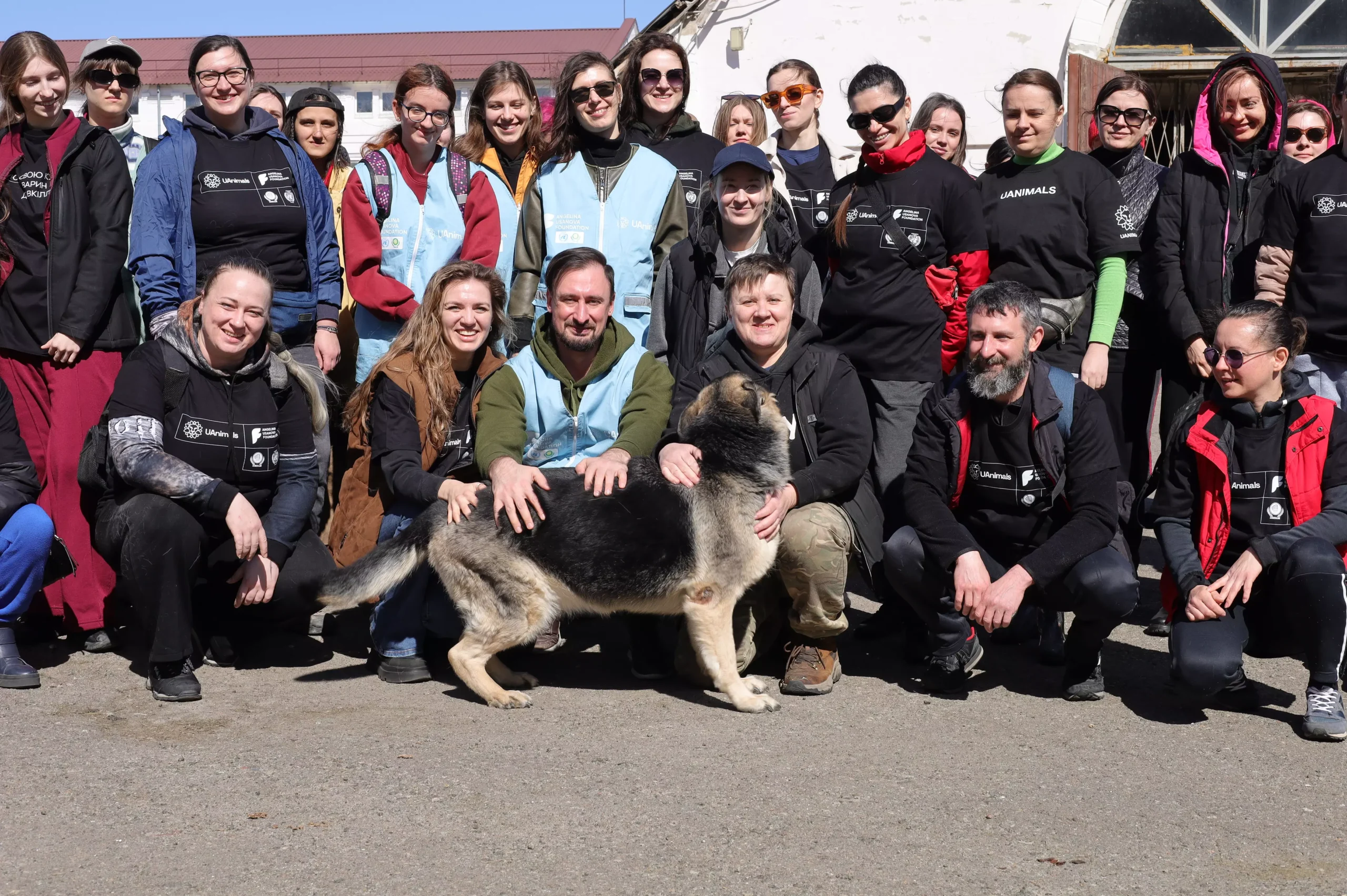 Результати спільної роботи UAnimals і Фонду Ангеліни Усанової