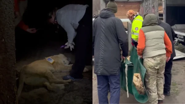 Левиць із Хмельницького вилучають для переїзду за кордон