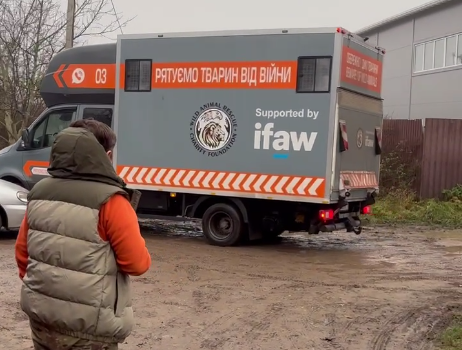 Левиць із Хмельницького вилучають для переїзду за кордон