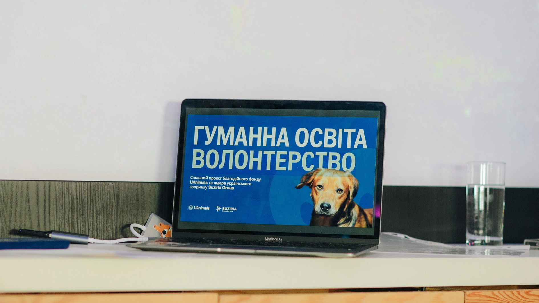 Гуманна освіта та волонтерство