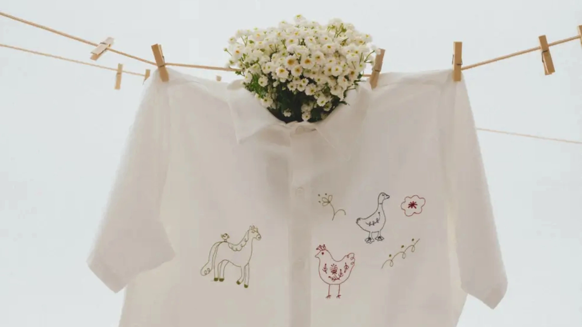 Благодійному бренду Animalism виповнюється два роки