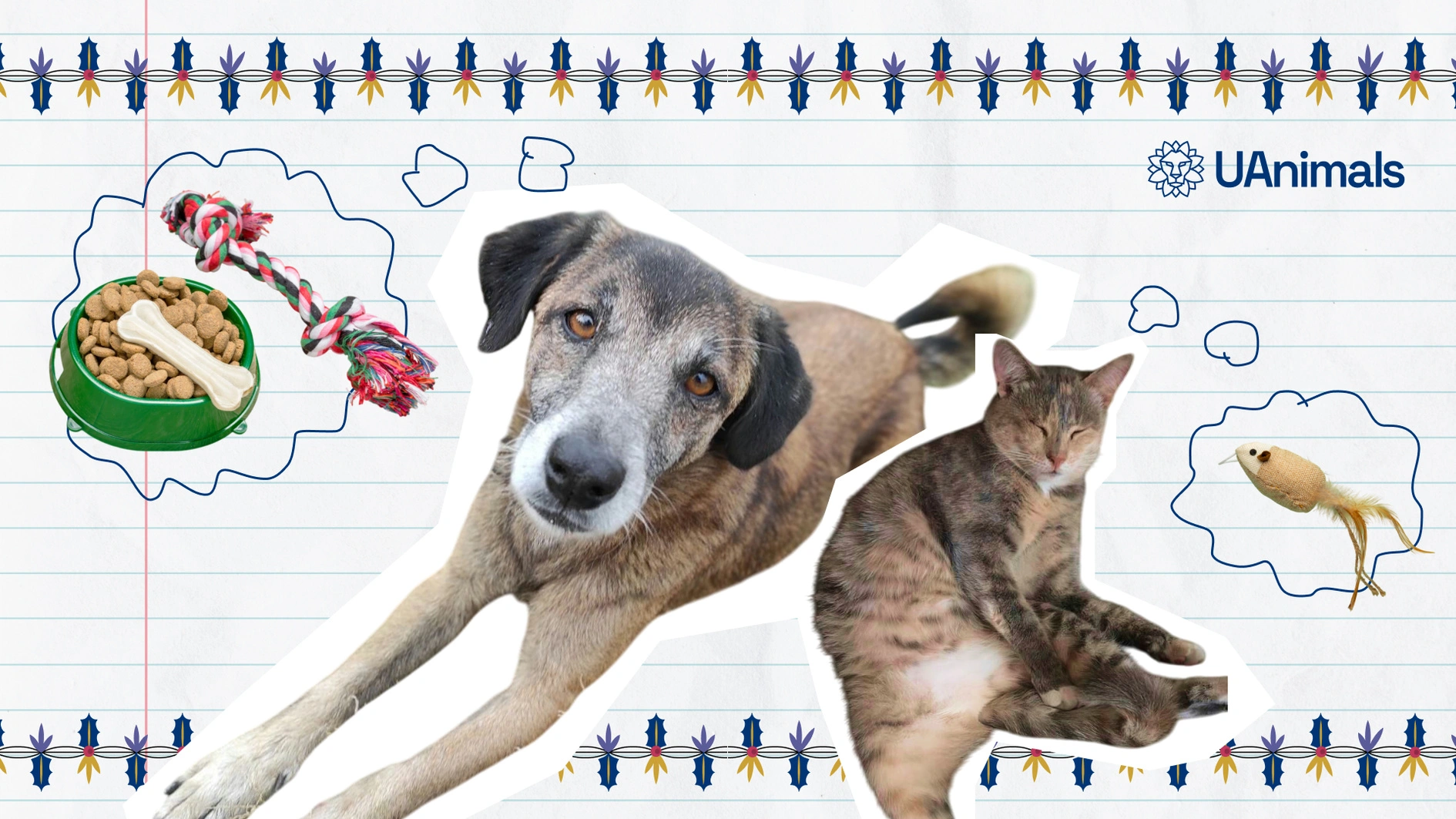 UAnimals закликає стати святим Миколаєм для тварин у притулках