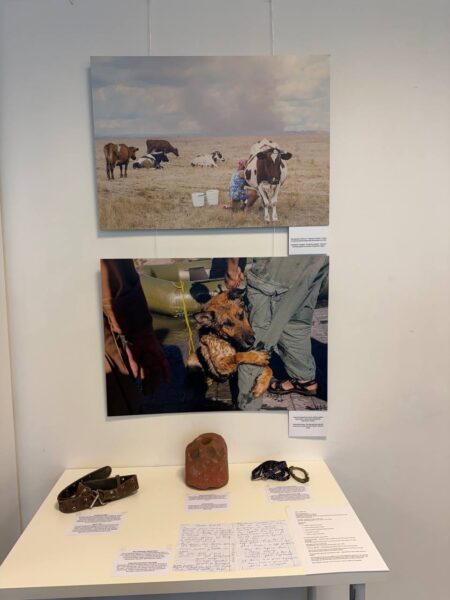 Uanimals відкрили вставку «Stop Ecocide Ukraine» у Брюсселі