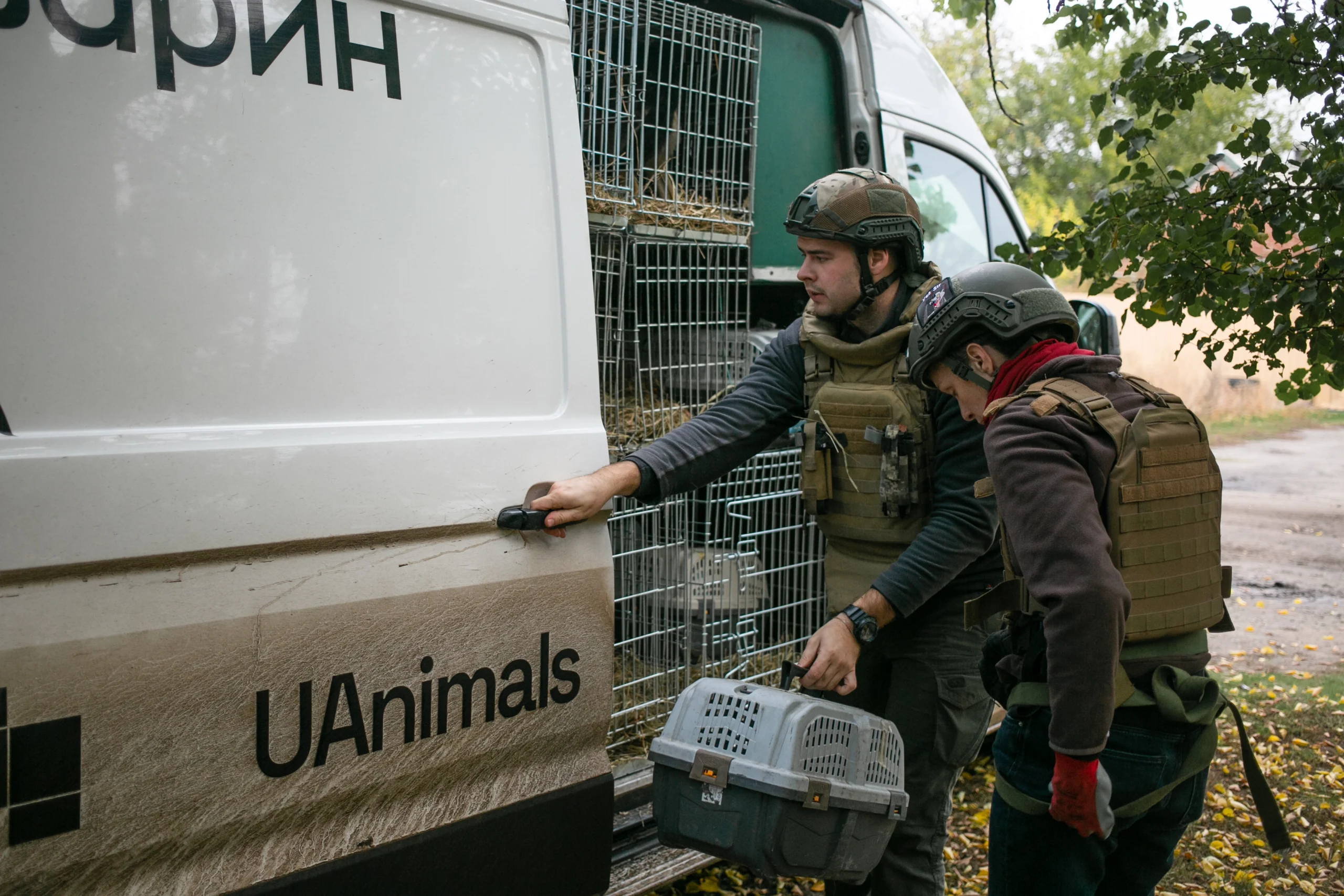 Евакуація тварин UAnimals